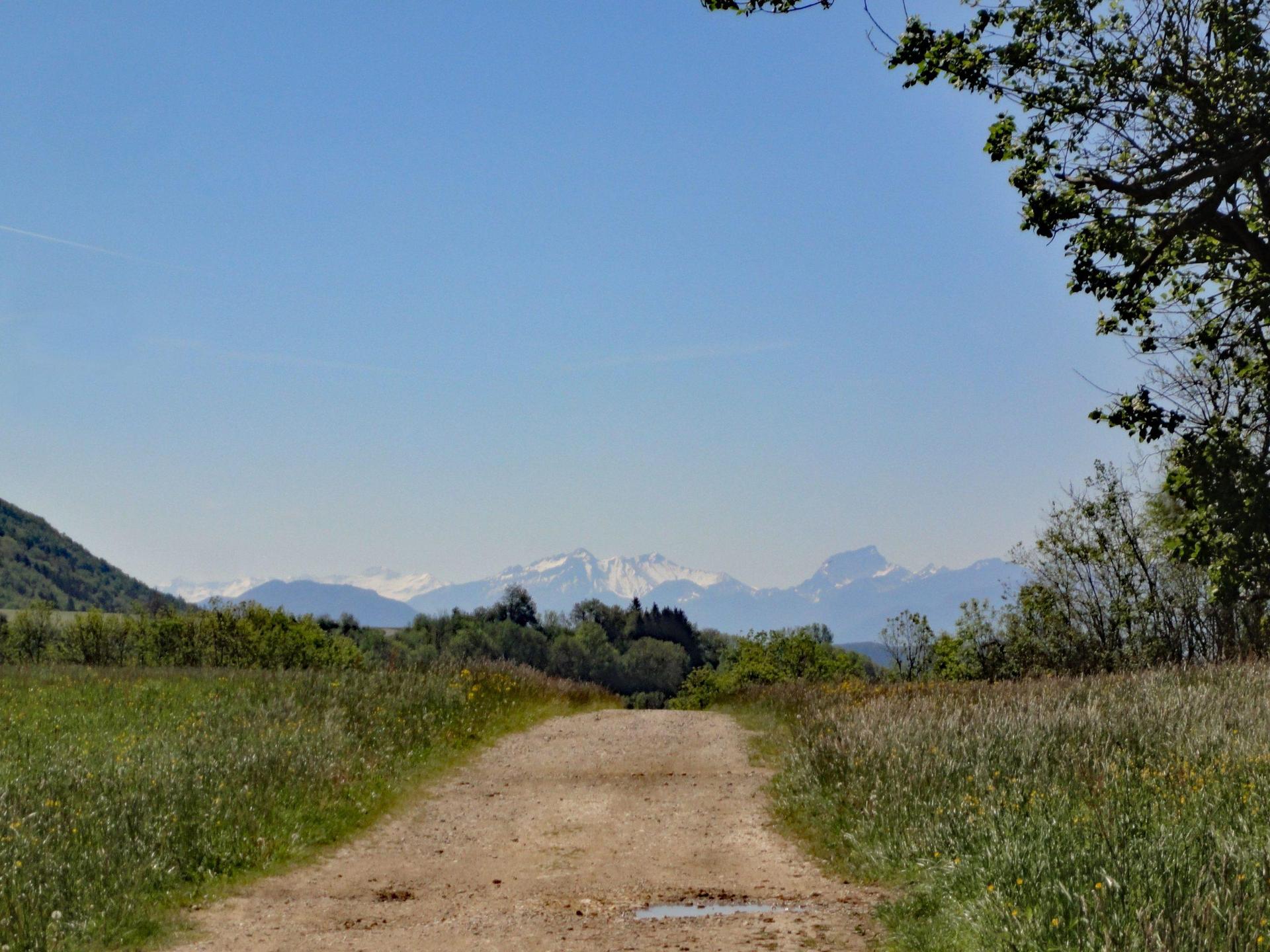 Entre Beaumont et ContamineSarzin  E. Lenkiewicz