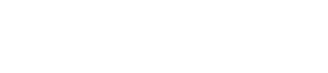 Profil de dénivelé — Camino Francés